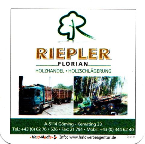anthering s-a raggei quad 1b (185-riepler) 